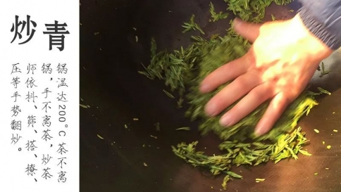 老爸喝的龙井茶，运城娃给老大卖回去了吗