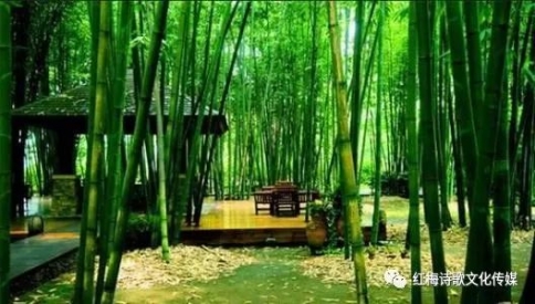 运城市优秀诗人姚丑万诗词专辑