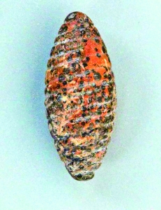 四个石雕蚕蛹与半个蚕茧