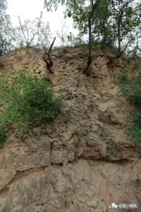 魏豹城遗址，几千年古城就在安邑，去看看