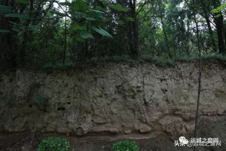 魏豹城遗址，几千年古城就在安邑，去看看