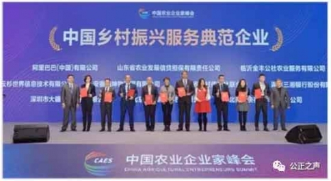 阿里巴巴怎么就成了乡村振兴服务典范了呢？