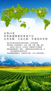 博格达云酒庄高端定制葡萄酒打造专属您个性化的生活品质