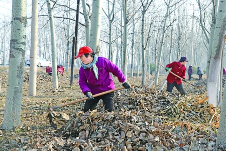 河津市柴家镇清理杂草、落叶消除火灾隐患
