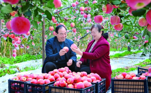 临猗县王万保果品种植专业合作社