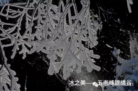 冰之美——五老峰锦绣谷