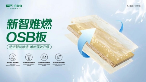 权威认证！千年舟阻燃板荣膺“工程项目全国销量第一”